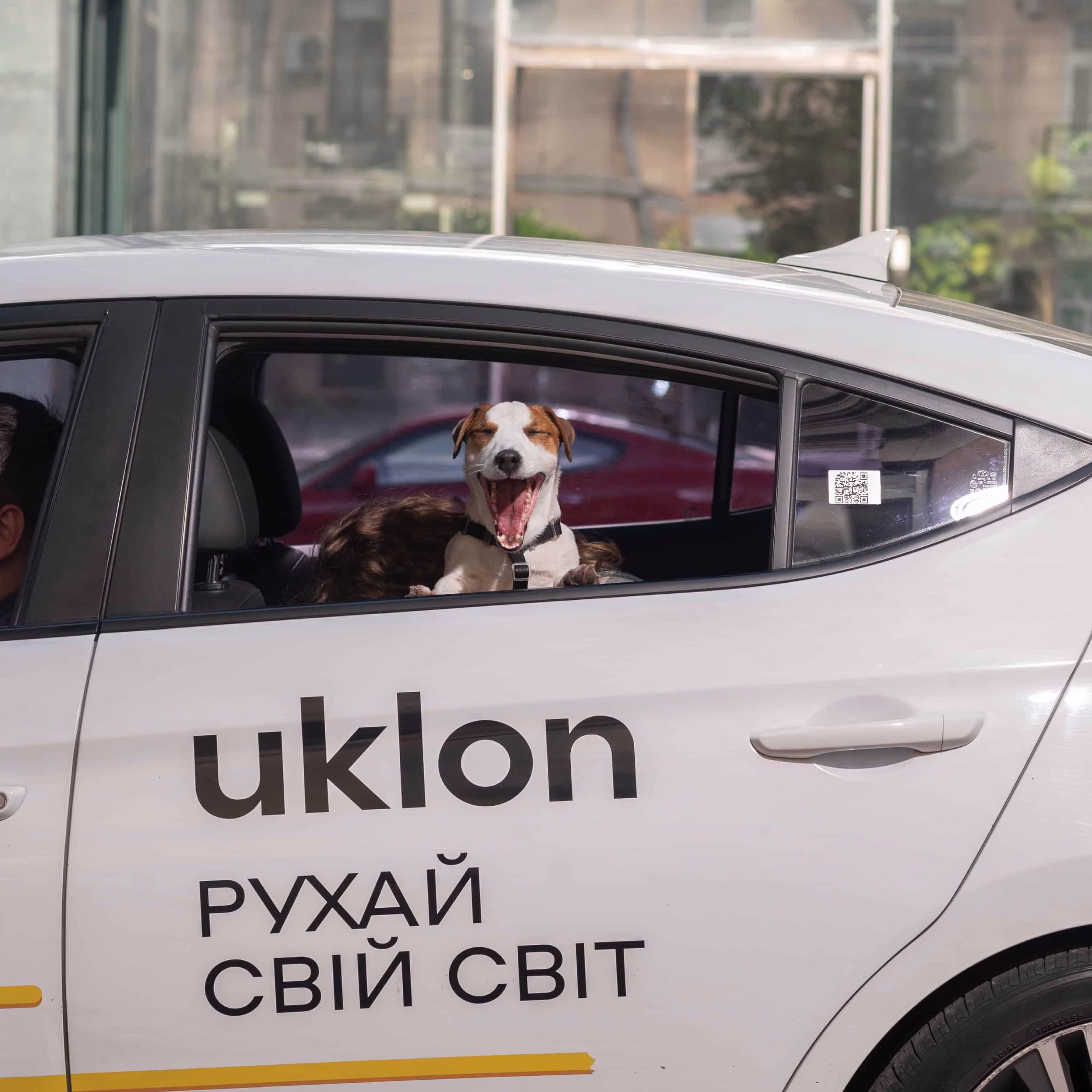 Міжміські поїздки
